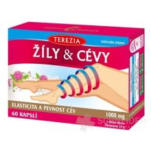 TEREZIA ŽILY & CIEVY