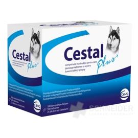 CESTAL PLUS