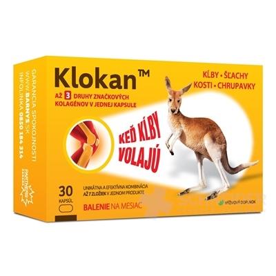 Klokan